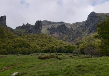 Excursión Senderismo Chambon-sur-Lac - Vallée de Chaudefour et cascades  - Photo