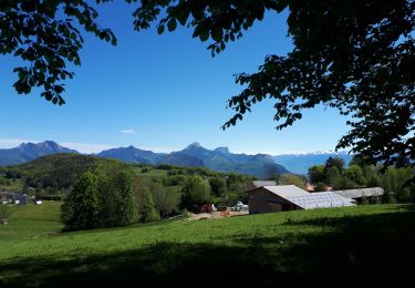 Tour Nordic Walking Saint-Nizier-du-Moucherotte - Parcours avec vue en 8 sur le plateau Charvet en Marche Nordique - Photo