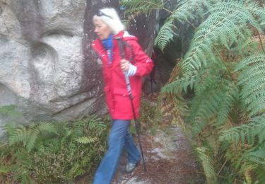 Trail Walking Fontainebleau - carrefour de l'epine 22 septembre 2023  - Photo