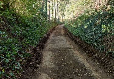 Trail Walking Lennik - Château de Gasbeek - Photo