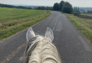 Excursión sport Domèvre-sur-Vezouze - Equiplaine 22 septembre 24 - Photo