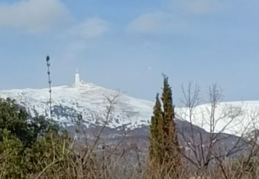 Randonnée Marche Flassan - Flassan - Canaud - les Jas avec Laurette le 14 03 2024 - Photo