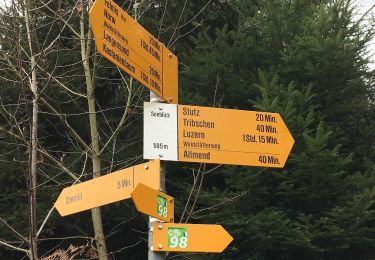 Tour Zu Fuß Horw - Kastanienbaum - Dorni - Photo