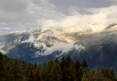 Tocht Stappen Passy - Le tour des Aiguilles Rouges : J2 - Photo