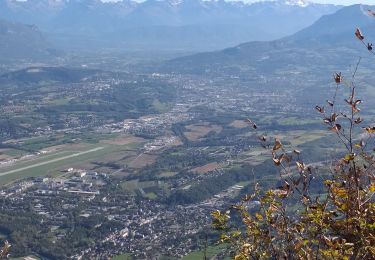 Tour Wandern Le Bourget-du-Lac - dent du chat et mollard noir  - Photo