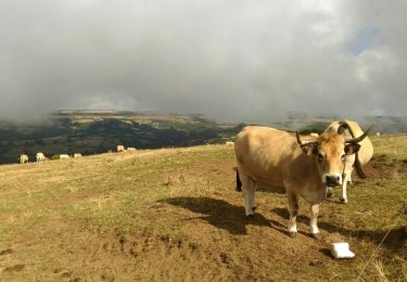 Trail Walking Saint-Chély-d'Aubrac - Boucle PR5 entre Saint Chély d'Aubrac et Aubrac - Photo