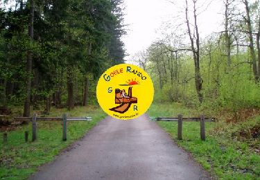 Tour Wandern Borest - MR_ERMENONVILLE(Maison Forestiere BOREST)_5.6Km - Photo