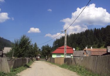 Tocht Te voet  - sat Jolotca - Pasul Țengheler - Șaua Niergheș - Photo