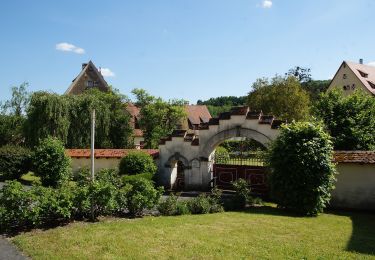 Randonnée A pied Kirchensittenbach - Kirchensittenbach 3 - Photo