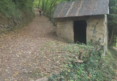 Trail Walking Saint-Martin-d'Uriage - Boucle de Combeloup    - Photo