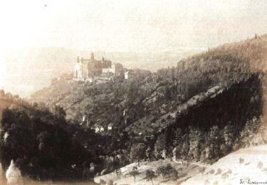 Tour Zu Fuß Kulmbach - Rehberg-Weg - Photo