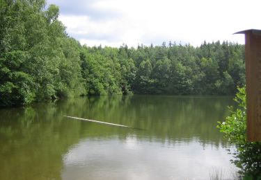 Excursión A pie Argenthal - Traumschleife Schanzerkopf-Tour - Photo