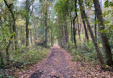 Tocht Stappen Maasmechelen - Opgrimbie 18 km - Photo