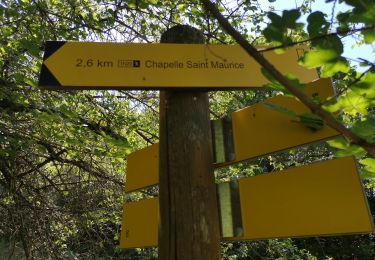 Trail Walking Valserres - Chapelle Saint Maurice.  - Photo