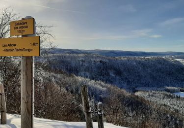 Trail Snowshoes Foncine-le-Haut - Foncine le Haut Le Bayard 12km 20200119 - Photo