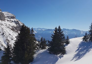 Percorso Racchette da neve Plateau-des-Petites-Roches - Pravouta 2022 - Photo