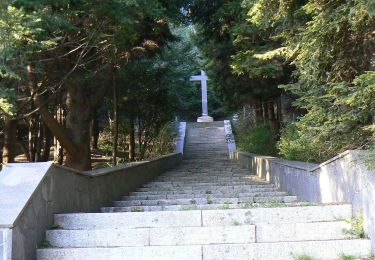 Randonnée A pied Mele - Masone-Sacrario dei Martiri del Turchino - Photo