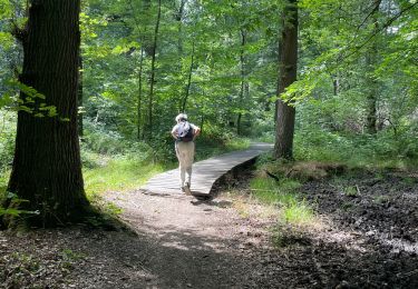 Trail Walking Ohey - Variante petit pont bois d’Ohey - Photo