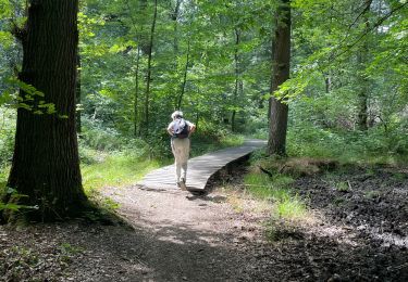 Randonnée Marche Ohey - Variante petit pont bois d’Ohey - Photo