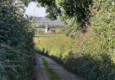 Trail Walking Voeren - boucle à mouland  - Photo