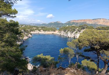 Tour Wandern Cassis - Port pin & Trou souffleur  - Photo