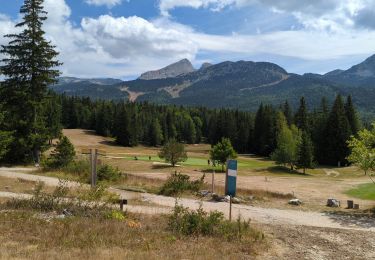 Tocht Stappen Corrençon-en-Vercors - Corrençon - Glacière - Clairaut - Photo