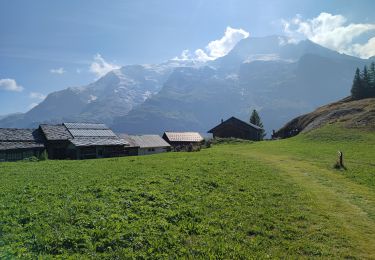 Randonnée Marche Sainte-Foy-Tarentaise - 240821 - Tignes - leMonal via St Foy et ... chenal - Photo