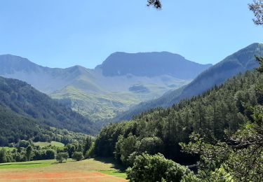 Randonnée Marche Seyne - SEYNES LES ALPES . Grand puy , montagne de la Blache , cabane du Mulet o l s - Photo