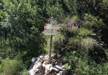 Excursión A pie Valli del Pasubio - Sentiero dell'Emmele - Photo