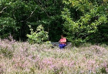 Tour Wandern Chevagny-les-Chevrières - 05.08.2021 - Photo