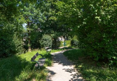 Trail On foot Unknown - rund um den Lainzer Tiergarten - Photo