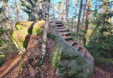 Trail On foot Redwitz a.d.Rodach - Redwitzer Kleeblattrunde - Photo