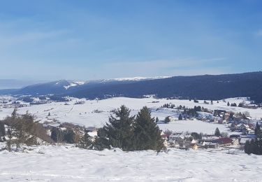 Tour Schneeschuhwandern Cerniébaud - vendredi jura - Photo