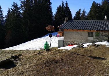 Excursión Marcha nórdica Ayent - les deux bisses  - Photo