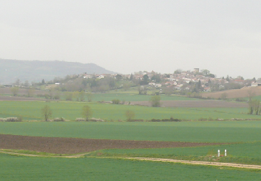 Tocht Stappen Beauregard-l'Évêque - beauregard-lEveque - Photo