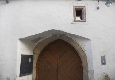 Tour Zu Fuß Gemeinde Klosterneuburg - Klosterneuburg - Hohenauer Wiese (Adolf Robl Weg) - Photo