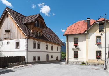 Tour Zu Fuß Malborgeth-Wolfsbach - IT-606 - Photo