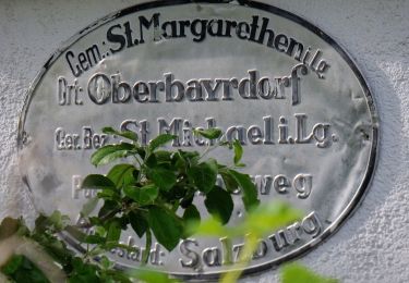 Tocht Te voet Sankt Michael im Lungau - Wanderweg 90, Saumoos - Rundwanderweg - Photo