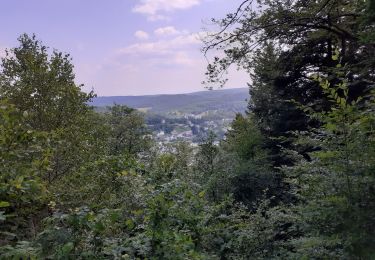 Randonnée Marche Bouillon - Bouillon tombeau du géant et belvédère  - Photo