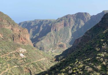 Tour Wandern Ingenio - Barranco de Guayadeque (Gran Canaria) - Photo