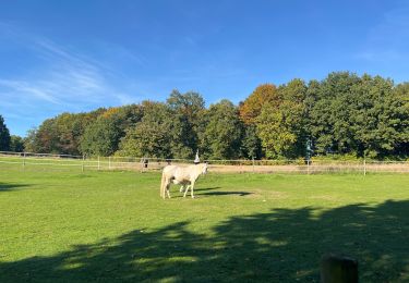 Trail Walking Mont-Saint-Guibert - Mont St Guibert - Photo