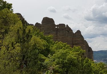 Tour Wandern Les Mées - Les Pénitents Les Mées - Photo