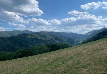 Tocht Paardrijden Orbey - Orbey- Sainte Marie aux mines - Photo