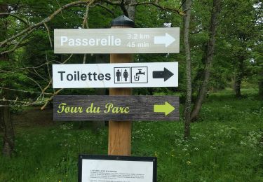 Trail Walking Saint-Maurice-de-Lignon - saint Maurice de Lignon Grazac - Photo