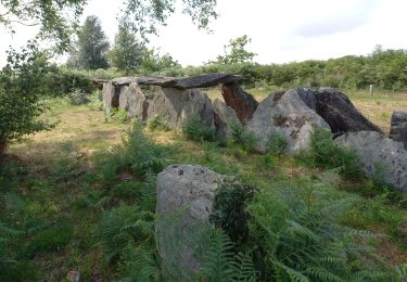 Excursión Senderismo Bon Repos sur Blavet - Les Landes de Liscuis (Laniscat) - Photo