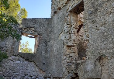 Excursión Senderismo Le Revest-les-Eaux - le Revest les Eaux - Photo