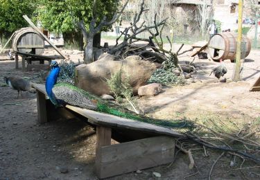 Percorso A piedi Mura - De Coll d'Estenalles a Mura - Photo