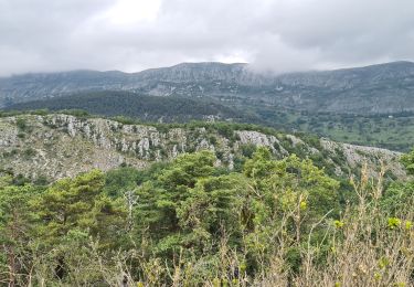 Tour Wandern Coursegoules - coursegoules st barnabé  - Photo