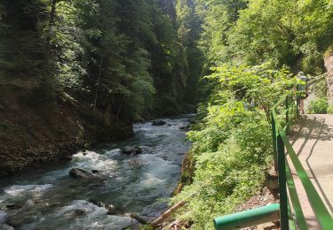 Percorso Marcia Oberstdorf - Breitachklamm  - Photo