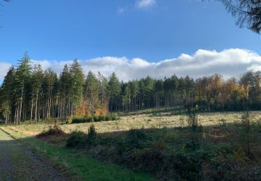 Tour Wandern Bouillon - Bouillon Bertrix - Photo